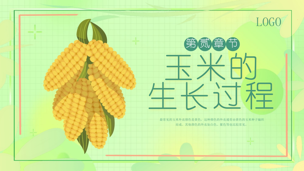 《探索神奇的玉米世界》幼儿园认识玉米教学PPT课件7