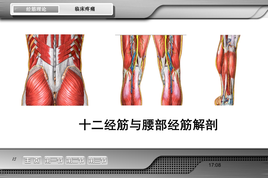 腰骶经筋解剖PPT课件13