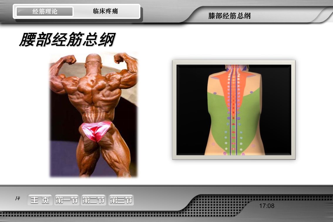 腰骶经筋解剖PPT课件14