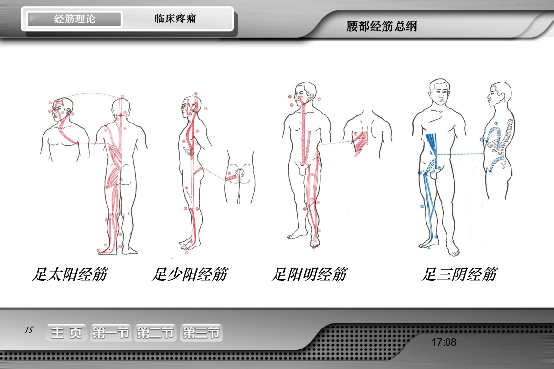 腰骶经筋解剖PPT课件15