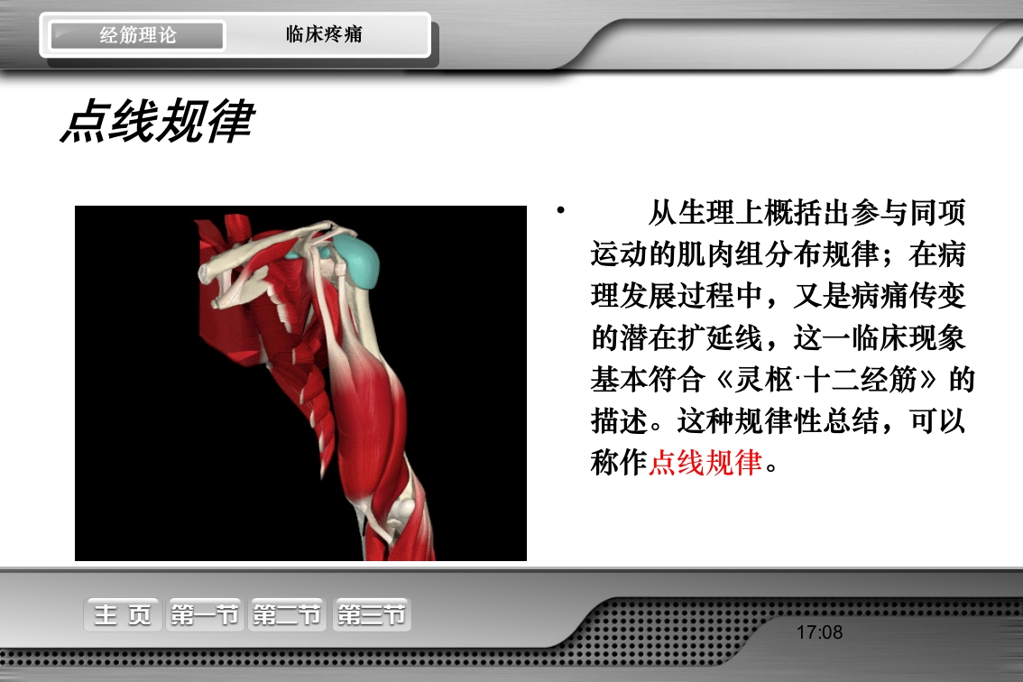 腰骶经筋解剖PPT课件16