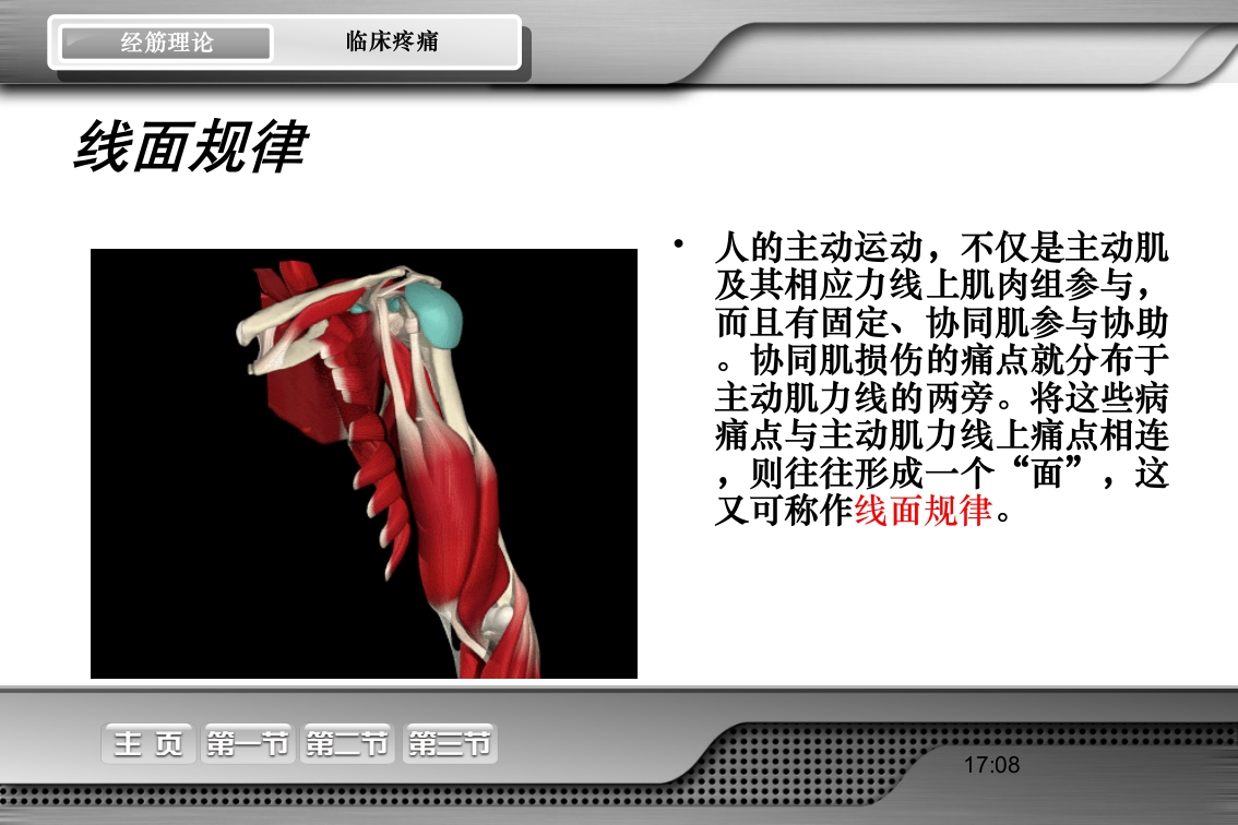 腰骶经筋解剖PPT课件17