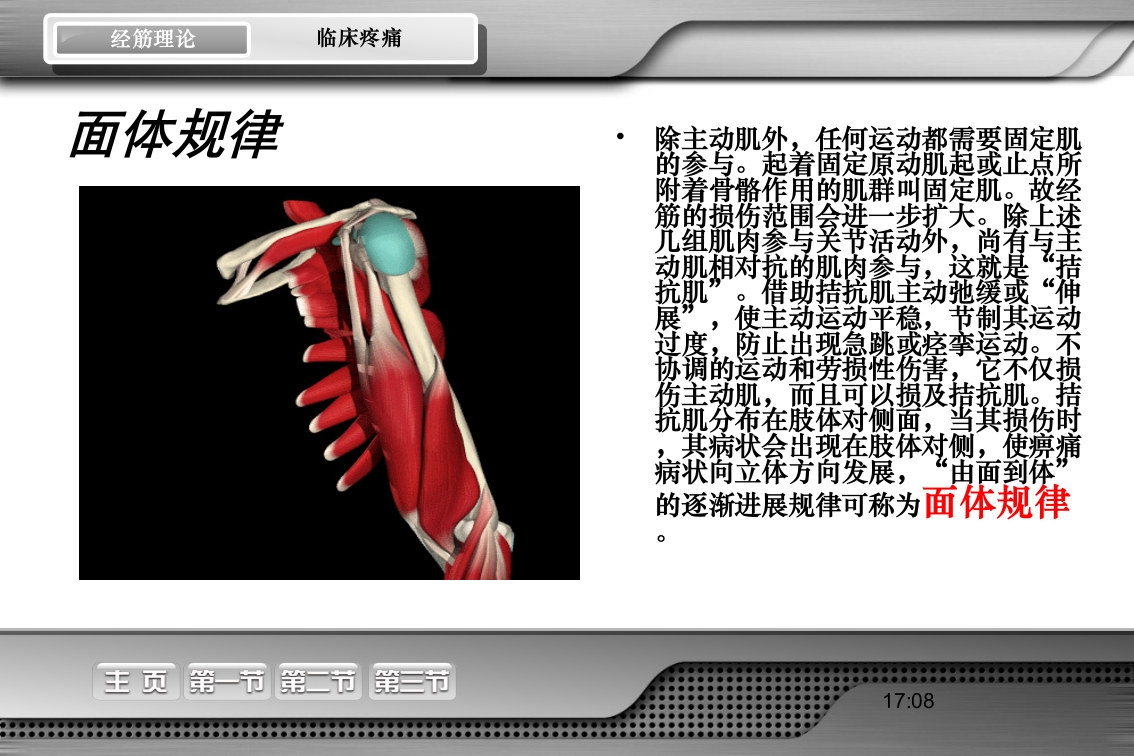 腰骶经筋解剖PPT课件18