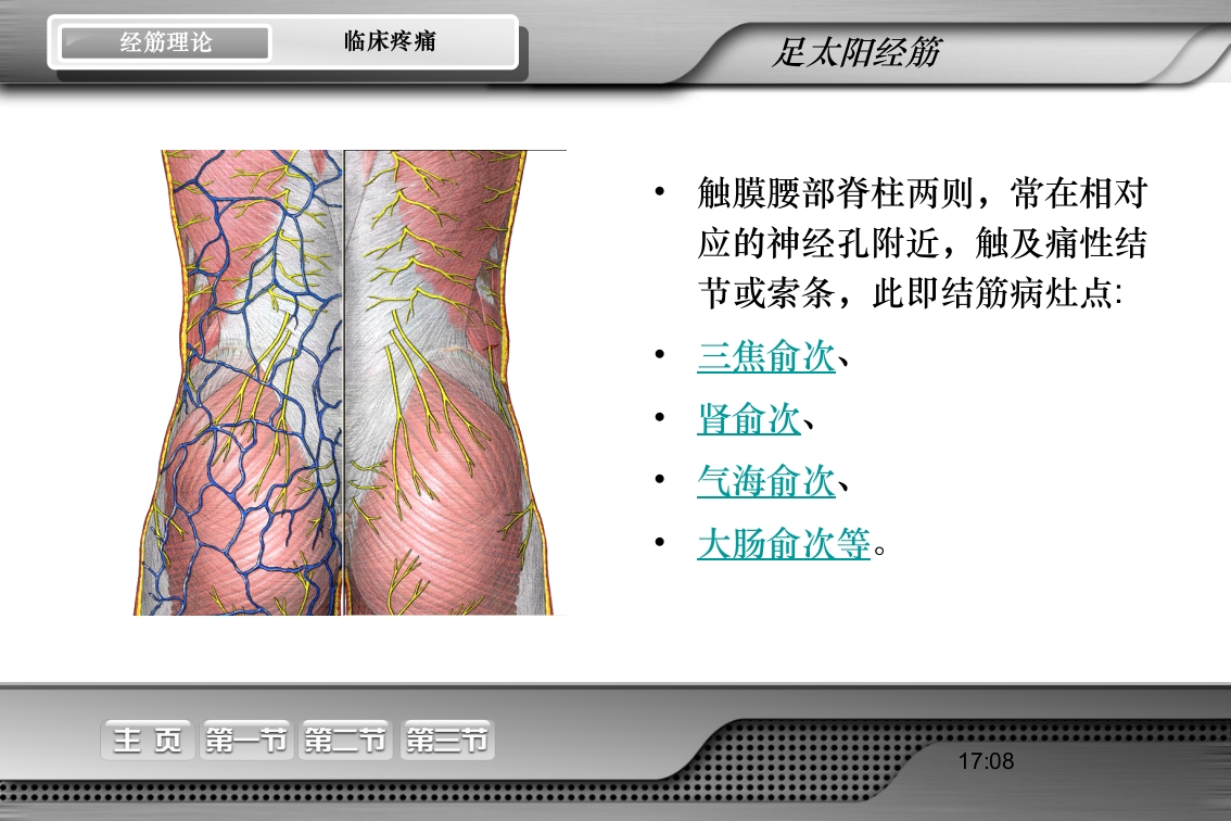 腰骶经筋解剖PPT课件21