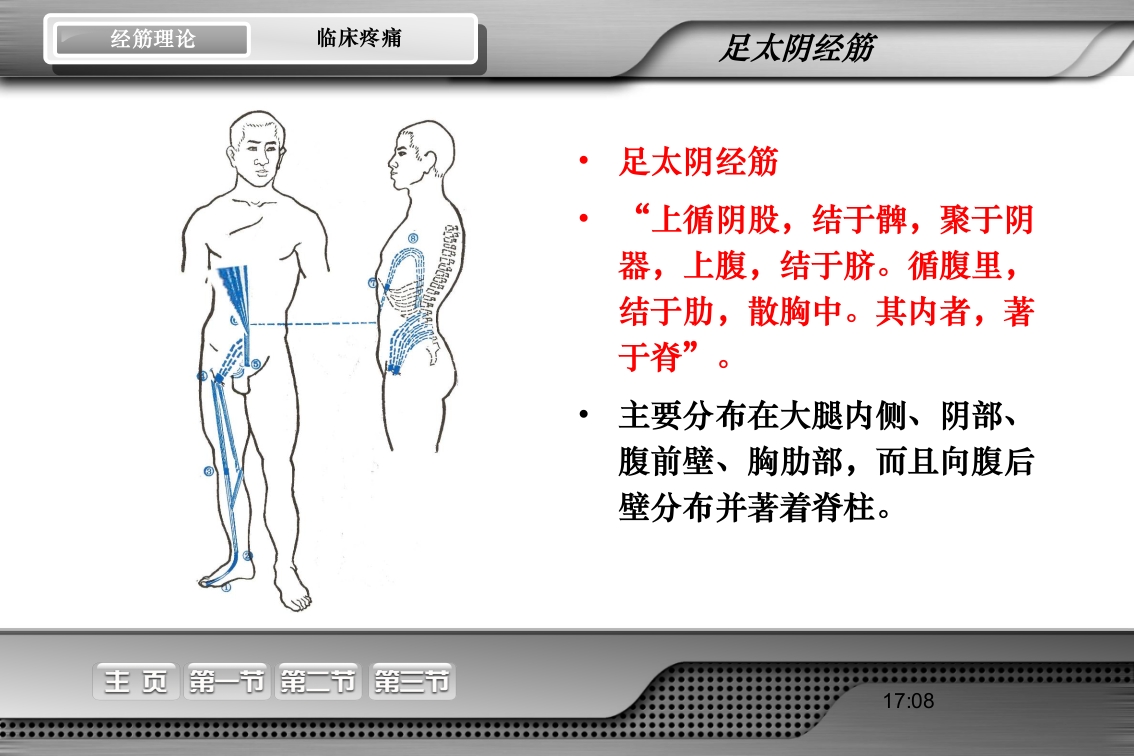 腰骶经筋解剖PPT课件37