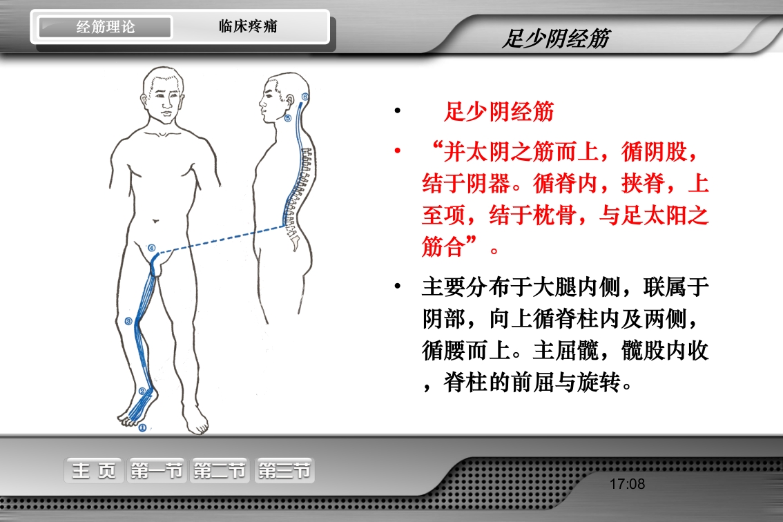 腰骶经筋解剖PPT课件41