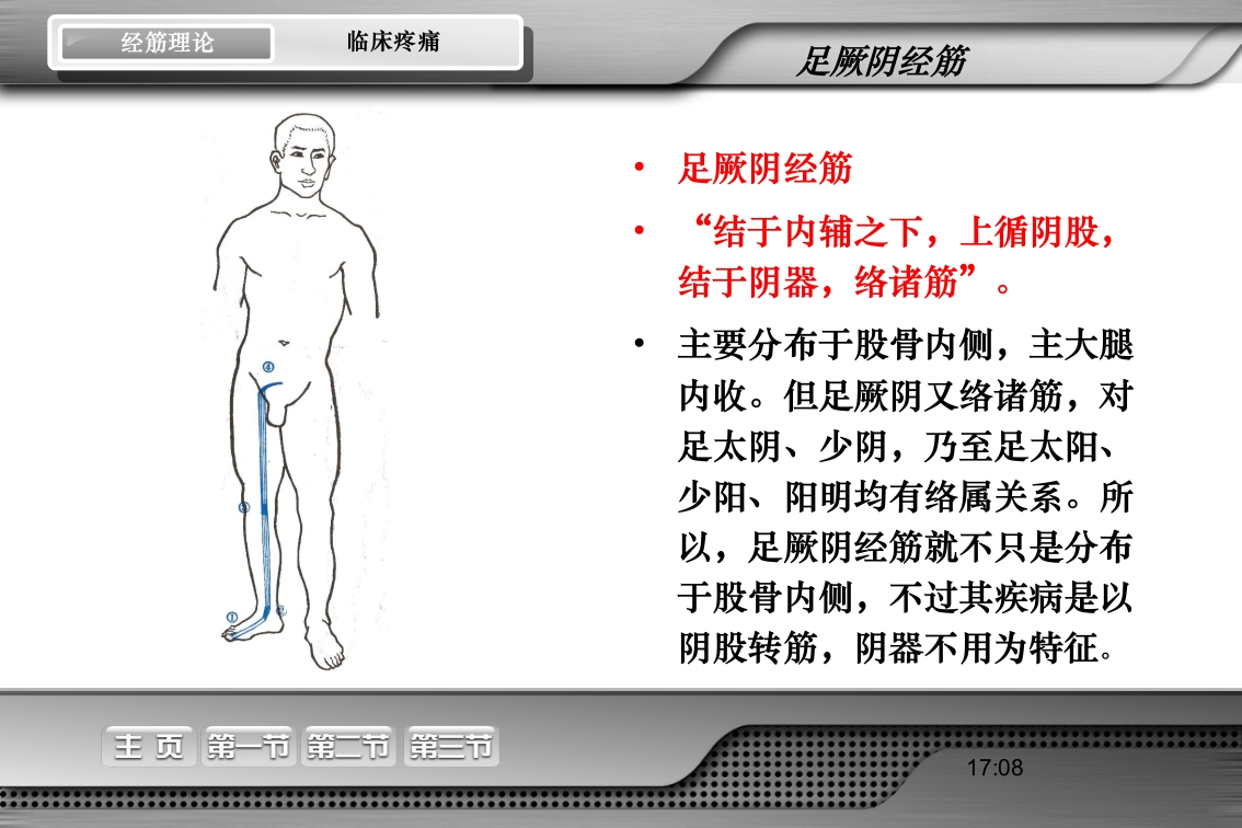 腰骶经筋解剖PPT课件43