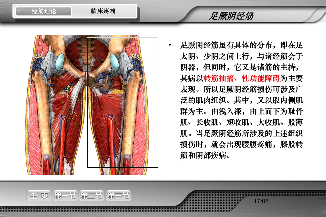 腰骶经筋解剖PPT课件44