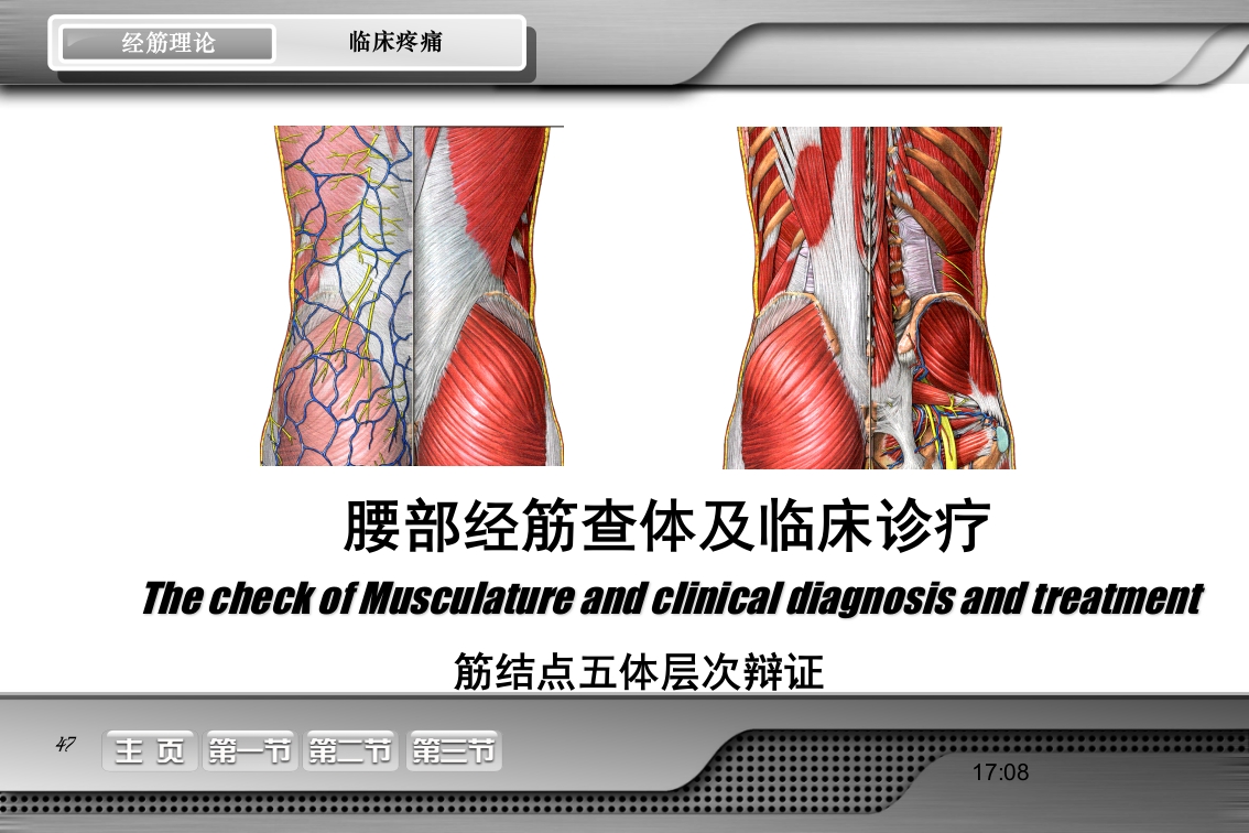 腰骶经筋解剖PPT课件47