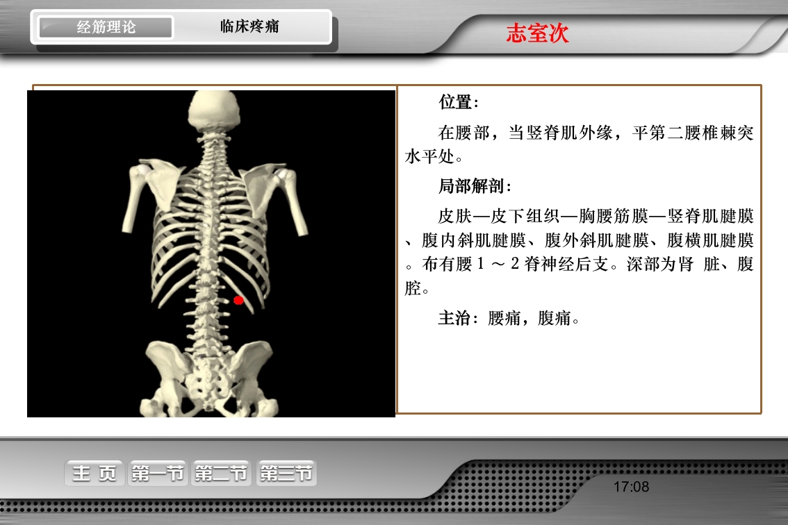 腰骶经筋解剖PPT课件49