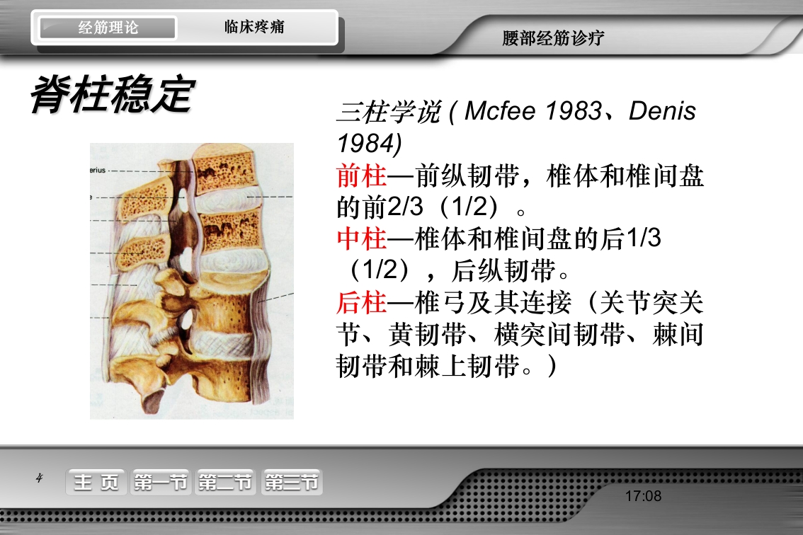 腰骶经筋解剖PPT课件4