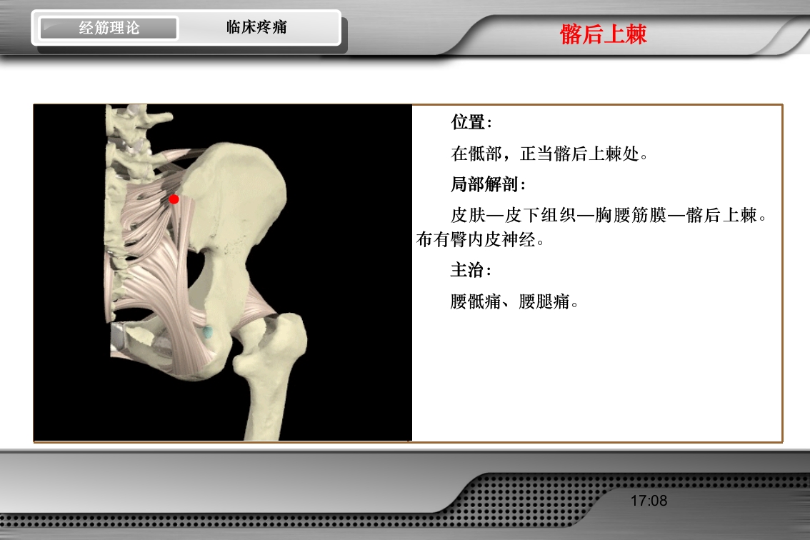 腰骶经筋解剖PPT课件54