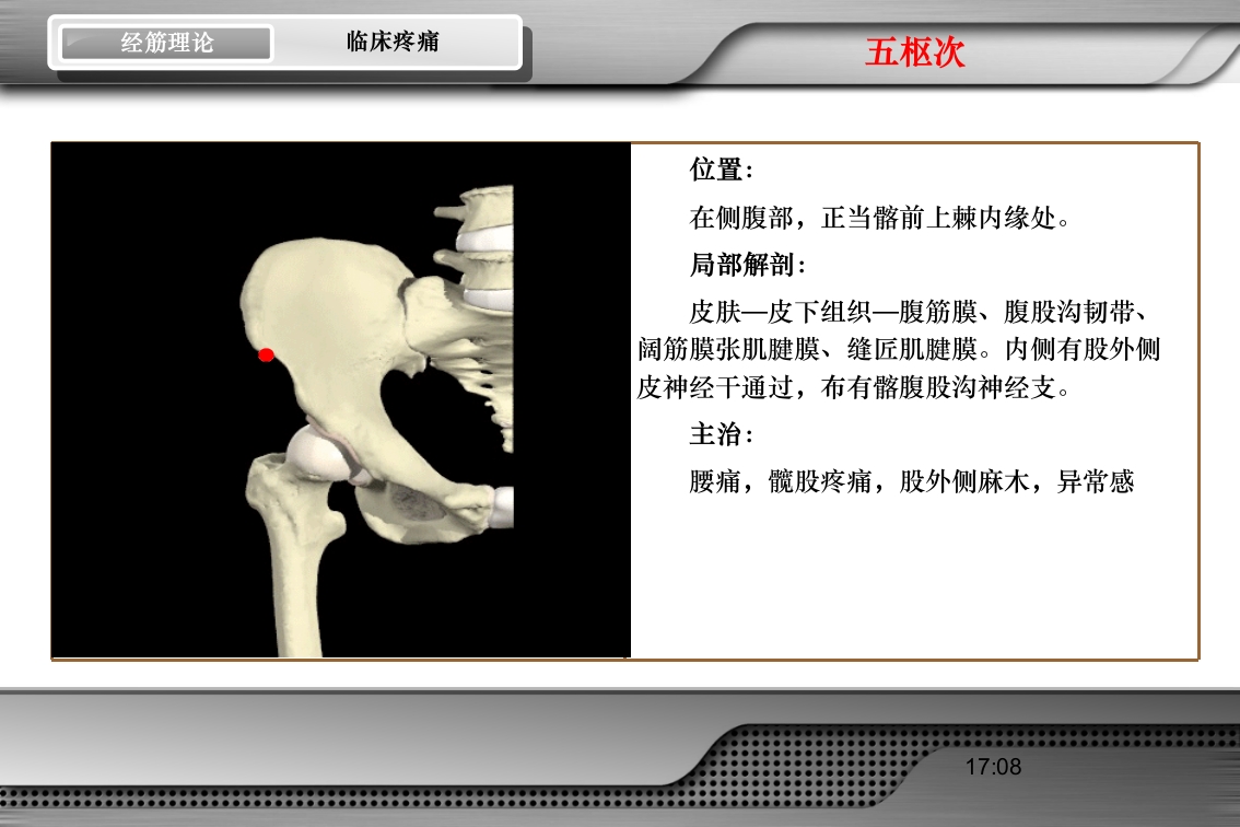 腰骶经筋解剖PPT课件61