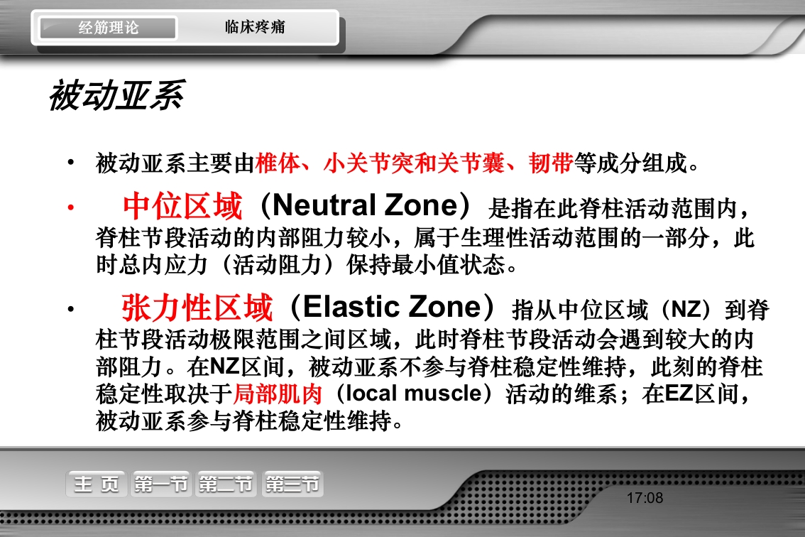 腰骶经筋解剖PPT课件8