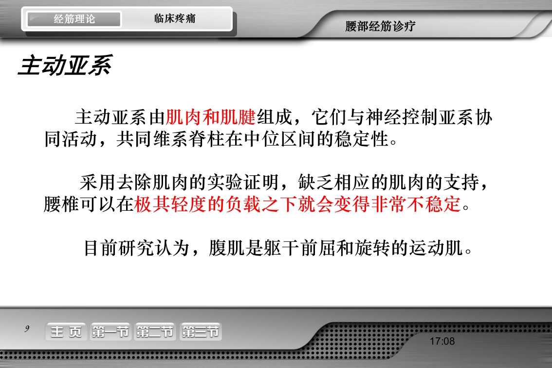 腰骶经筋解剖PPT课件9