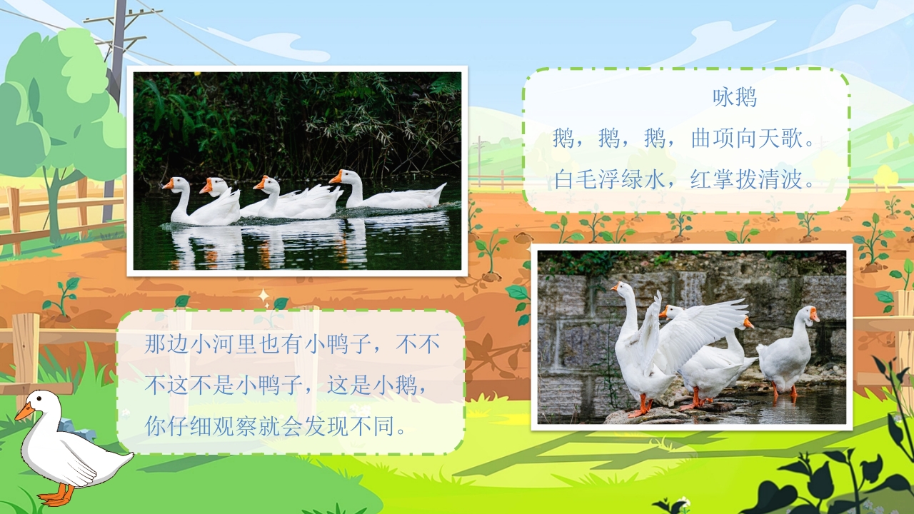 《农场里的小动物》幼儿园小班科学活动教育PPT课件11