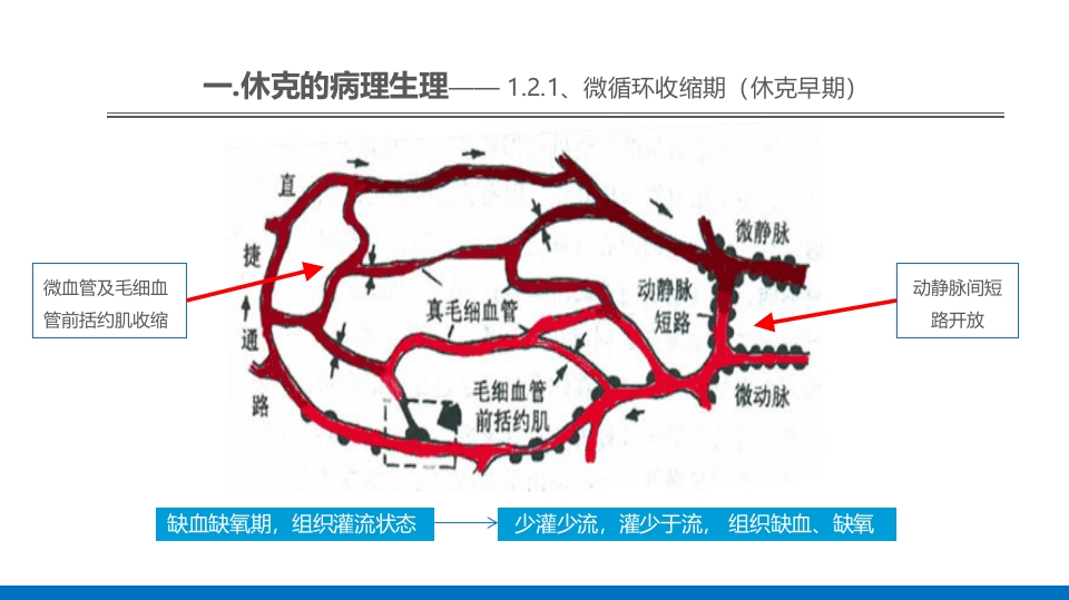 外科休克的概述PPT课件10