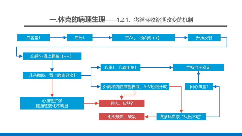 外科休克的概述PPT课件11
