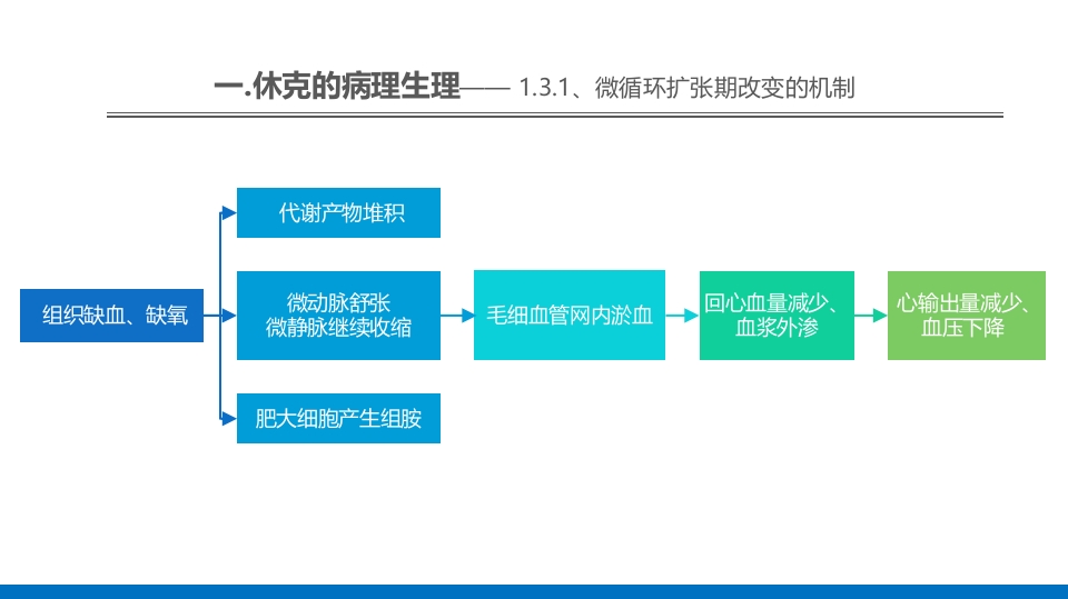 外科休克的概述PPT课件13