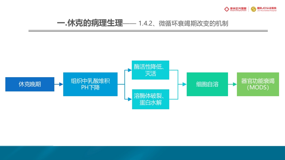 外科休克的概述PPT课件15
