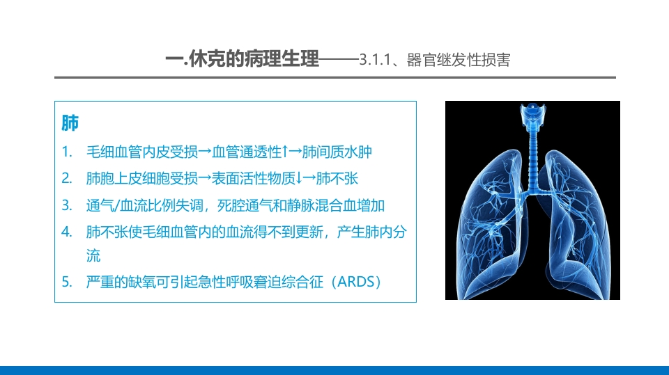 外科休克的概述PPT课件25