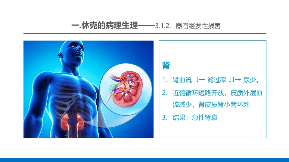 外科休克的概述PPT课件26
