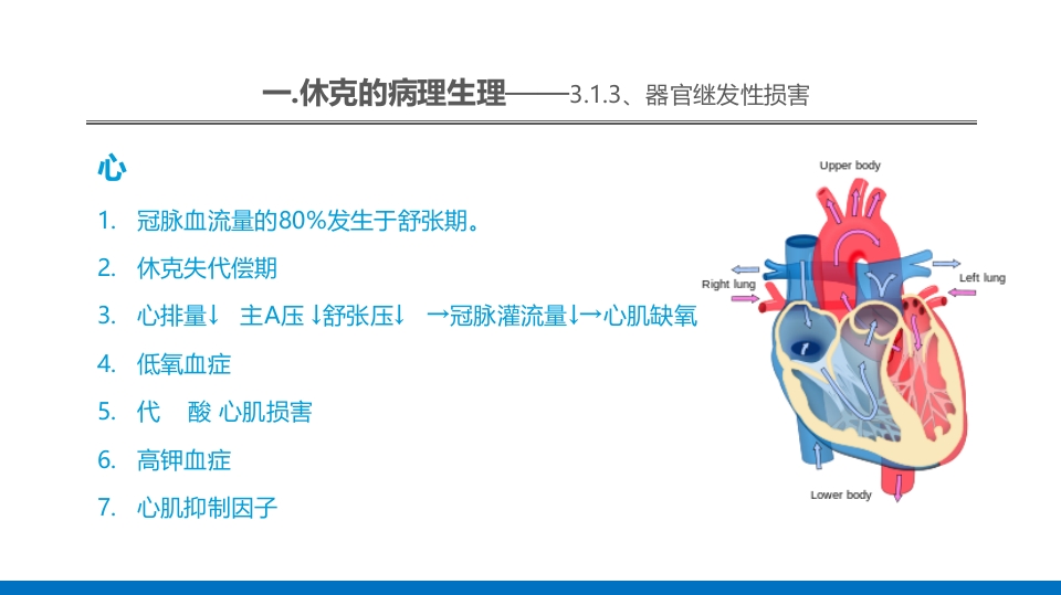 外科休克的概述PPT课件27