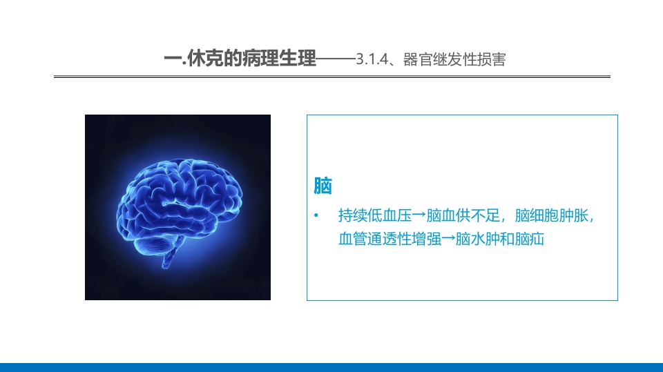 外科休克的概述PPT课件28