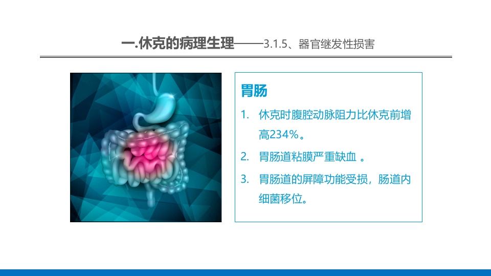 外科休克的概述PPT课件29