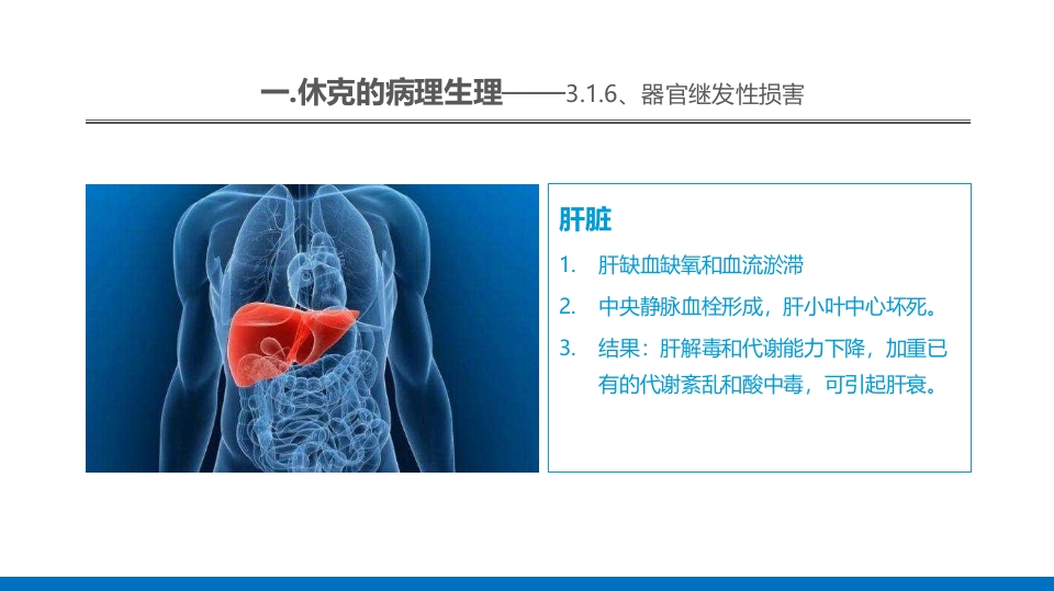 外科休克的概述PPT课件30