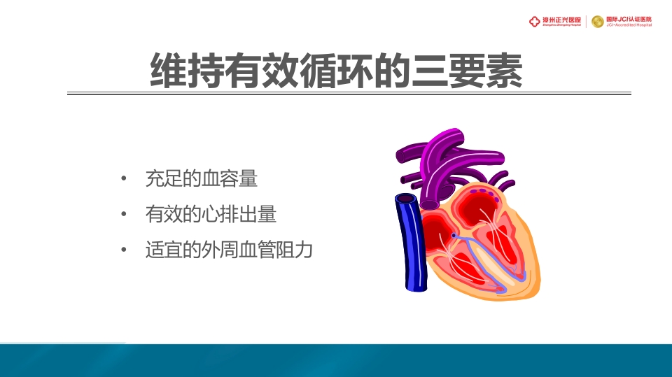 外科休克的概述PPT课件4