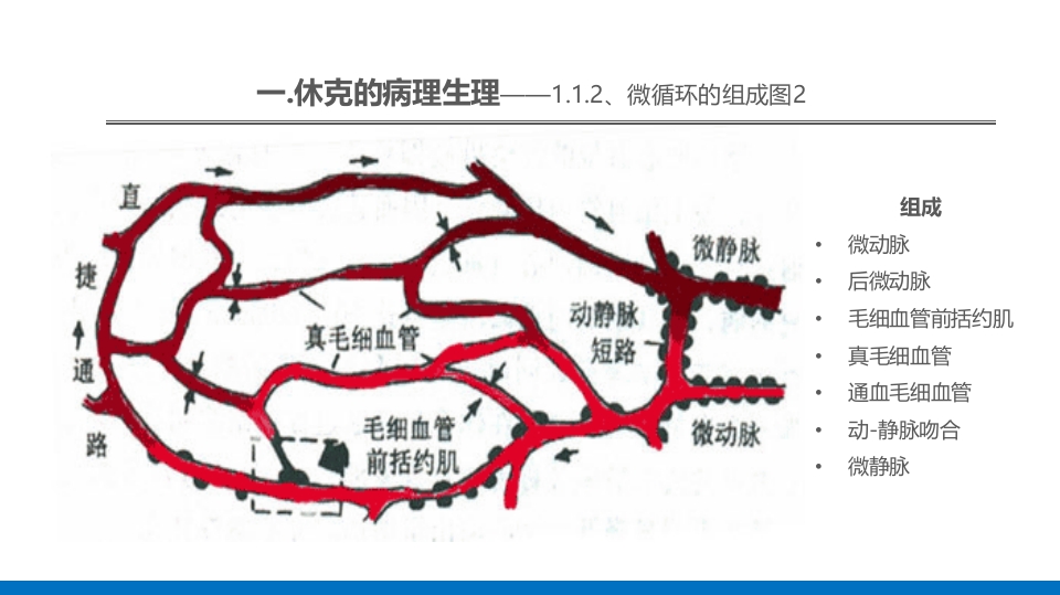外科休克的概述PPT课件9