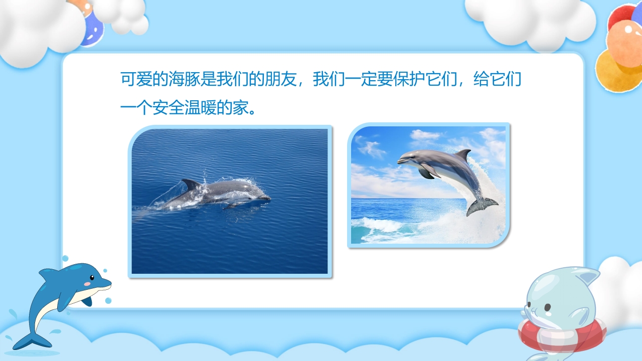 《聪明的小海豚》幼儿园科学教育PPT课件12