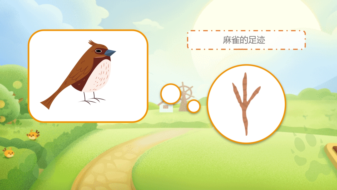 《动物的足迹》幼儿园科学教育PPT课件6