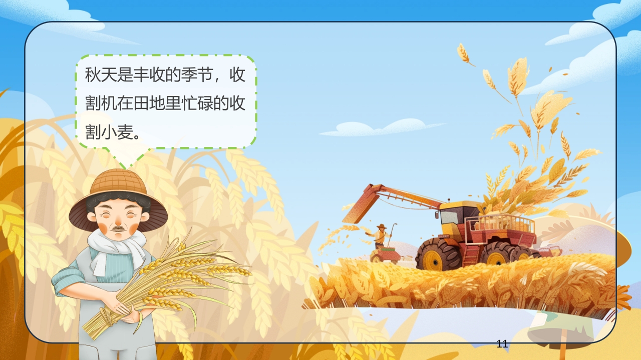 《小麦的一生》幼儿园科学教育PPT课件11