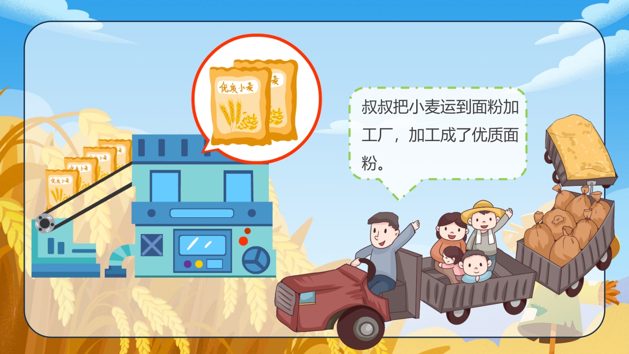 《小麦的一生》幼儿园科学教育PPT课件12