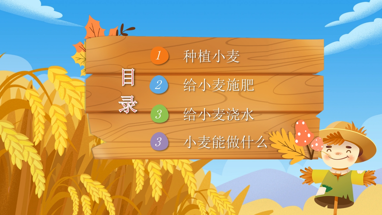 《小麦的一生》幼儿园科学教育PPT课件2