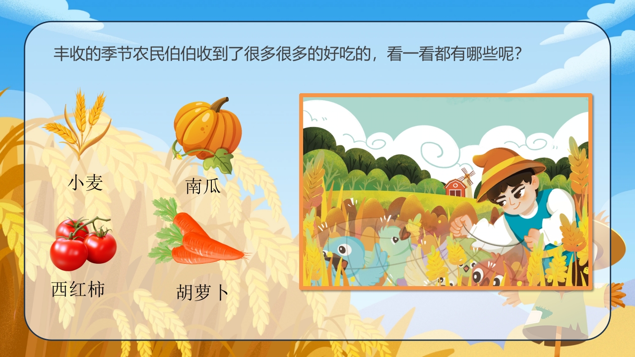《小麦的一生》幼儿园科学教育PPT课件4