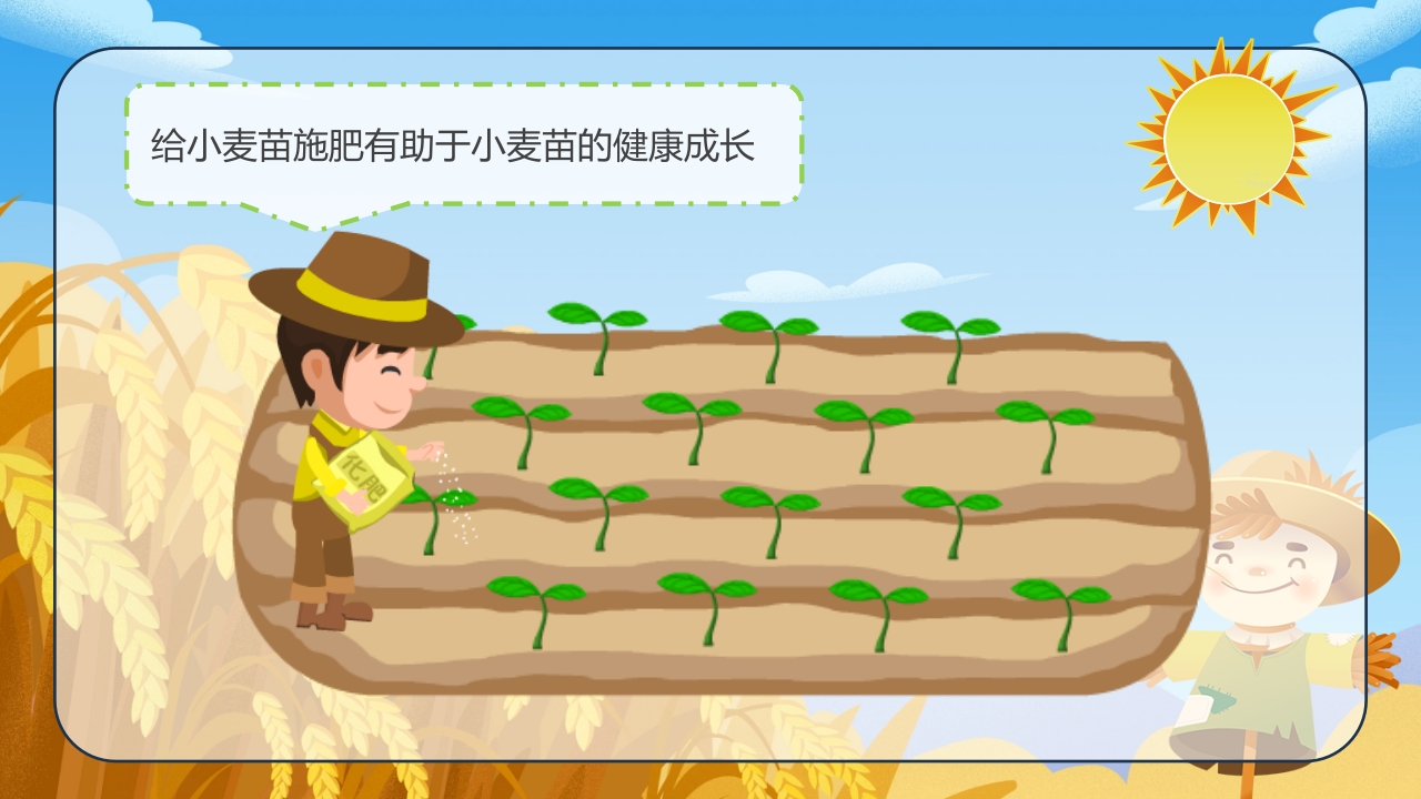 《小麦的一生》幼儿园科学教育PPT课件7