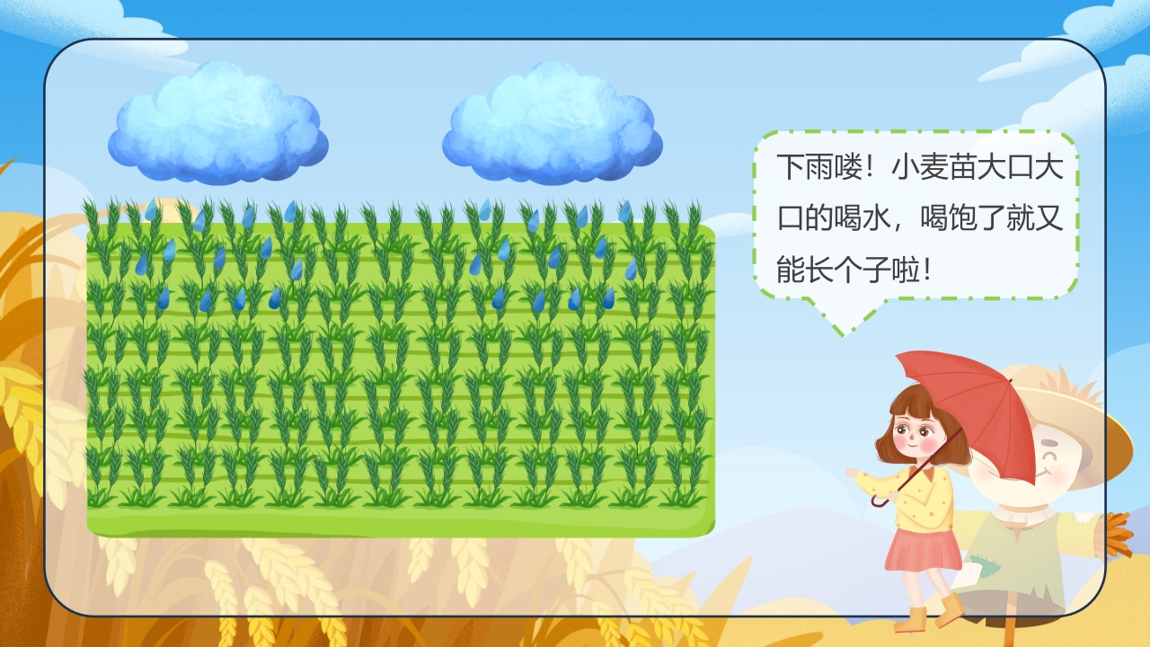 《小麦的一生》幼儿园科学教育PPT课件9