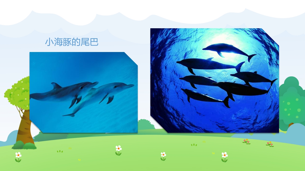 《小动物找尾巴》幼儿园小班科学教育活动PPT课件10