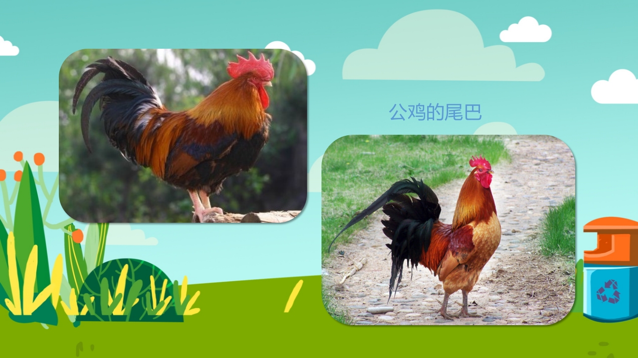 《小动物找尾巴》幼儿园小班科学教育活动PPT课件7