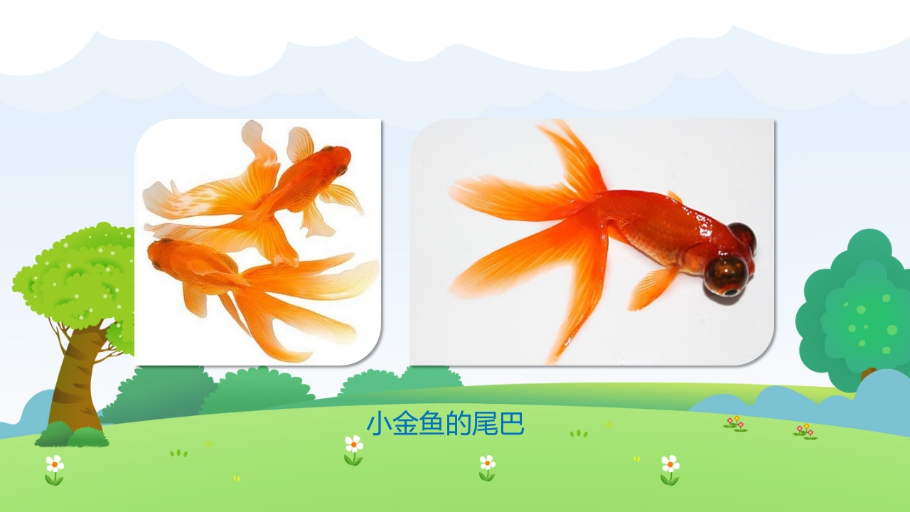 《小动物找尾巴》幼儿园小班科学教育活动PPT课件9