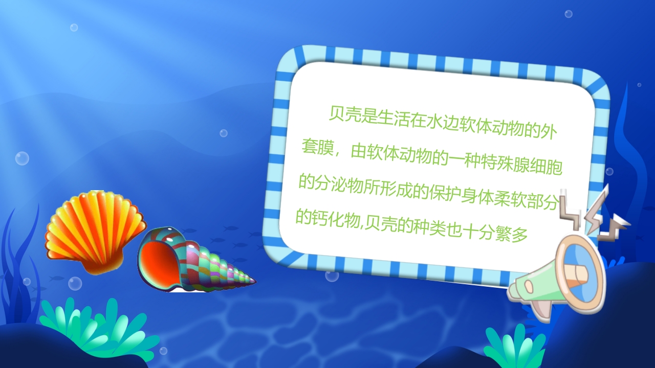 《美丽的贝壳》幼儿园小班科学教育活动PPT课件3