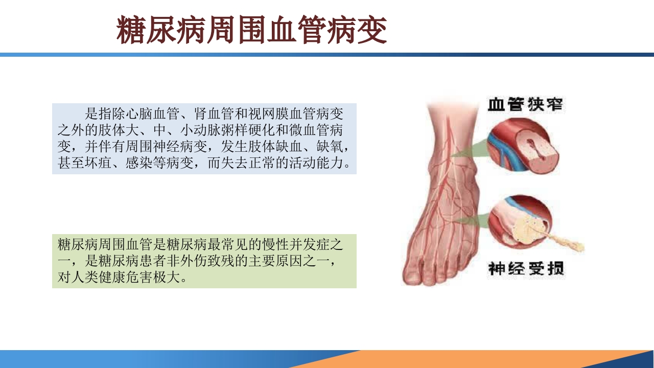 糖尿病患者合并周围动脉病变的诊断PPT课件3