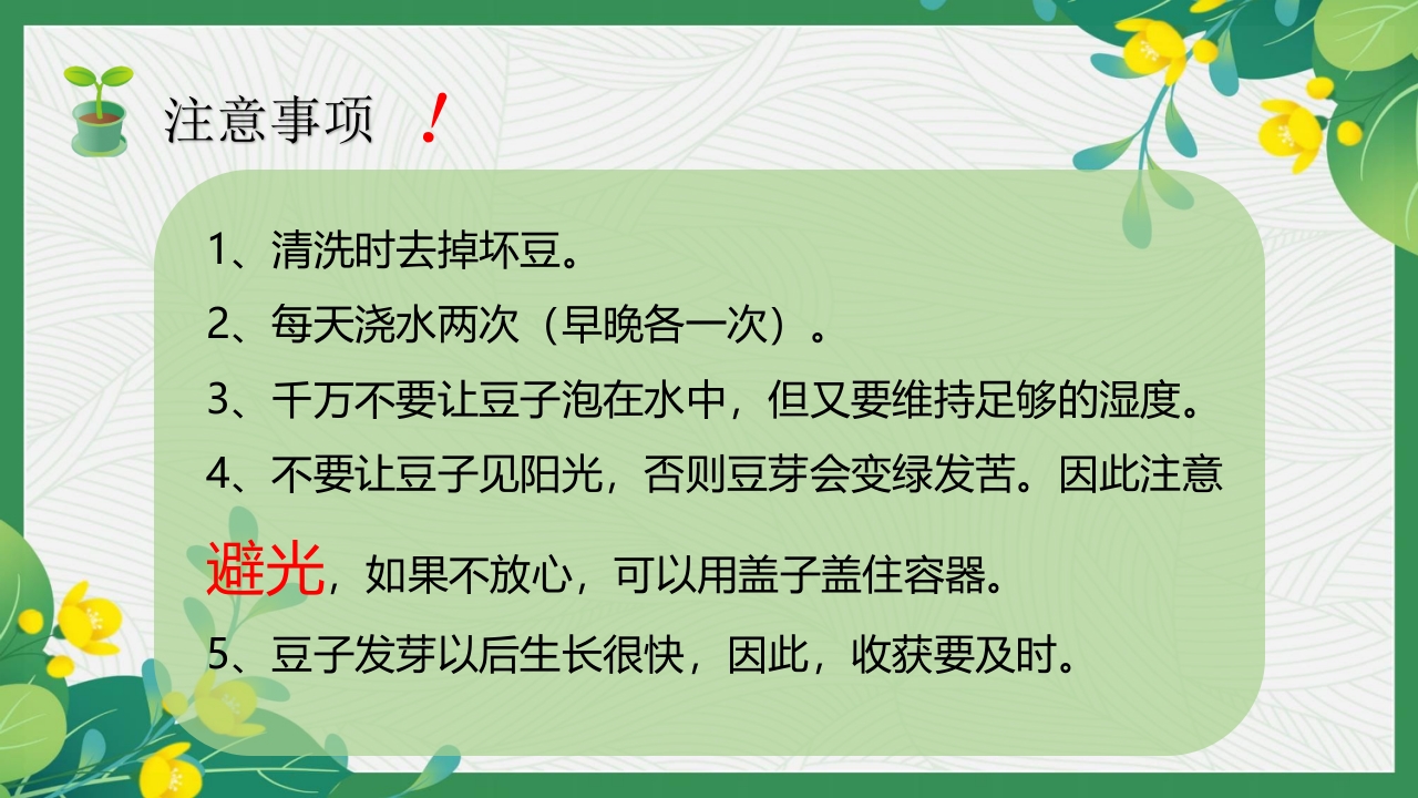 发豆芽PPT课件+(内嵌视频)11
