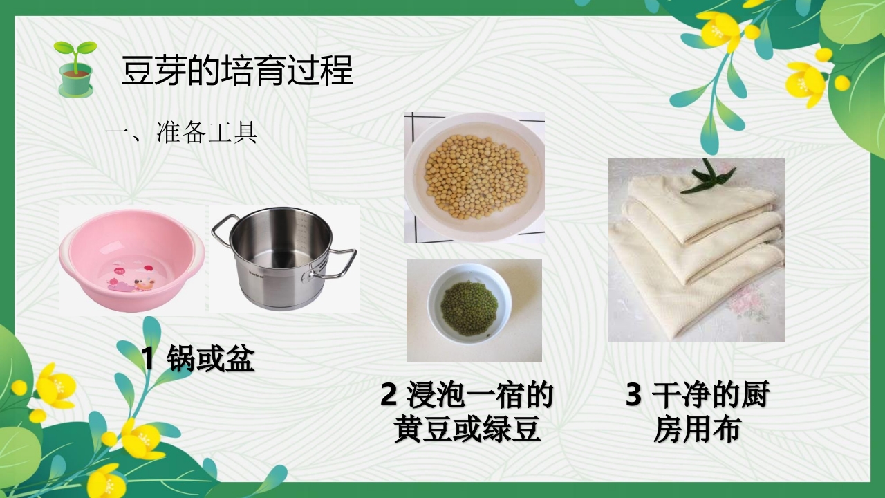 发豆芽PPT课件+(内嵌视频)4