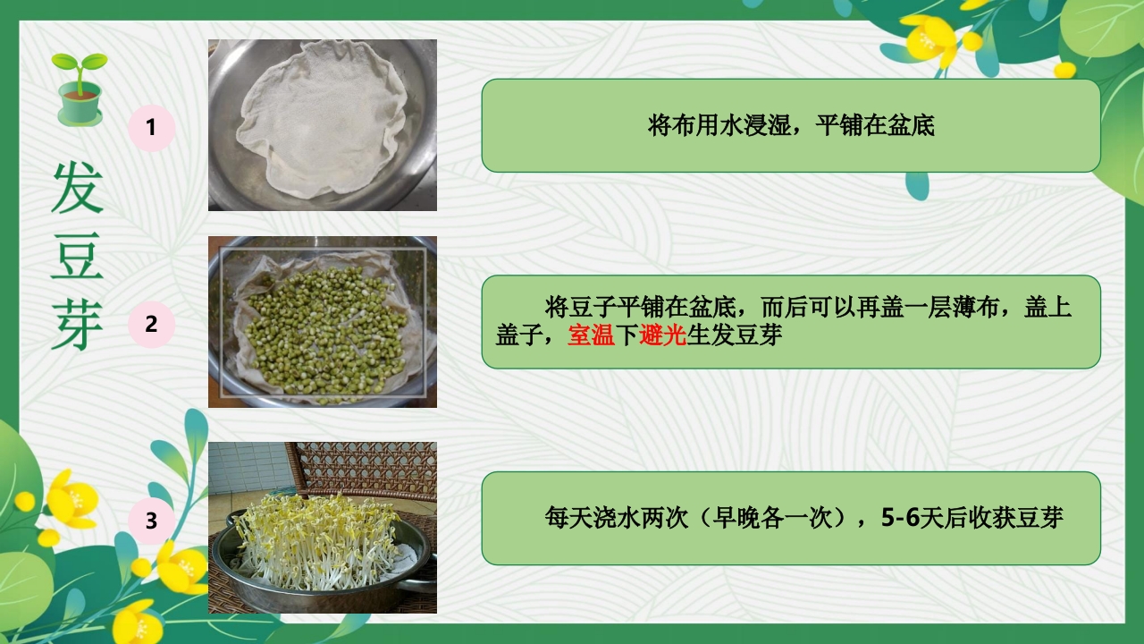 发豆芽PPT课件+(内嵌视频)9
