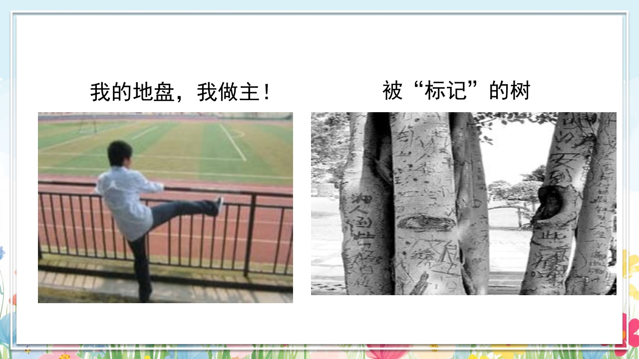 中小学生好习惯养成教育主题班会PPT课件16