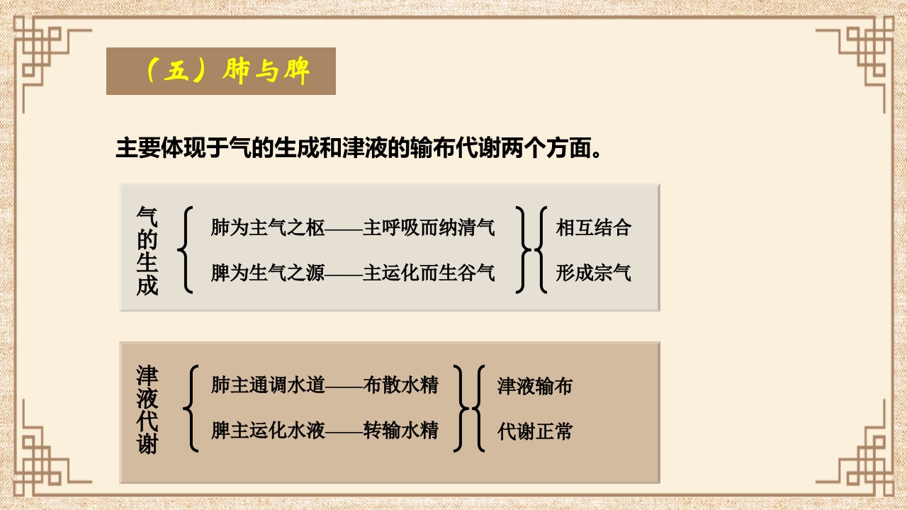 脏腑之间的关系ppt课件12